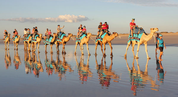 sunset-camel-ride-in-agadir