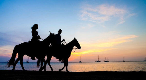 Sunset Horse Rides