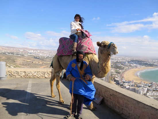Half day camel riding