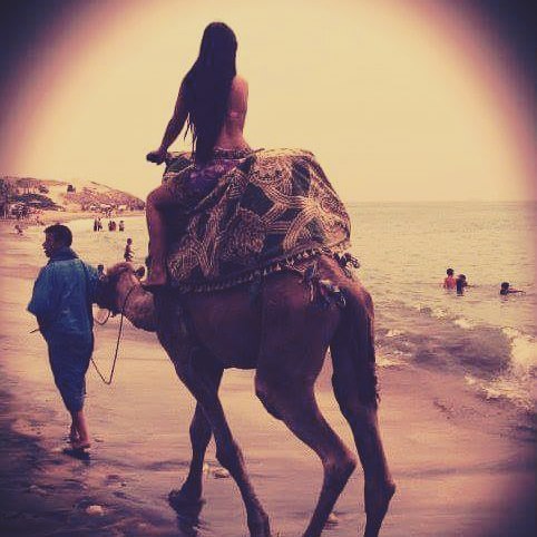 Camel riding + Tagine/BBQ