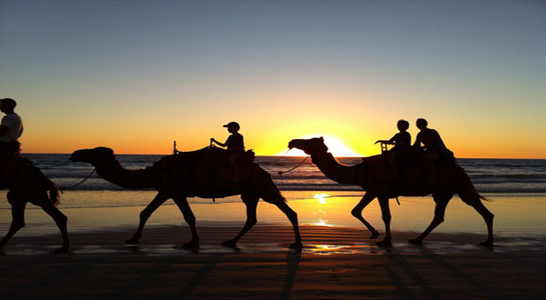 sunset-camel-ride-in-agadir
